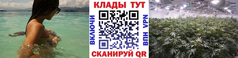 Цена Бирюч Псилоцибиновые грибы  Меф мяу мяу  Бошки Шишки  КОКАИН 