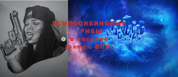 бошки Алексеевка