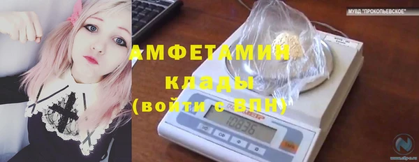 МДПВ Алексин