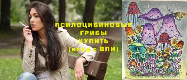 трава Алзамай