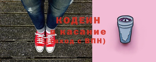 сатива Аша