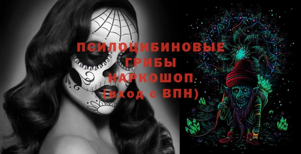 МДПВ Алексин
