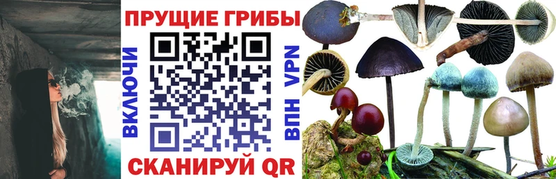 продажа наркотиков  Бирюч  Галлюциногенные грибы мухоморы 